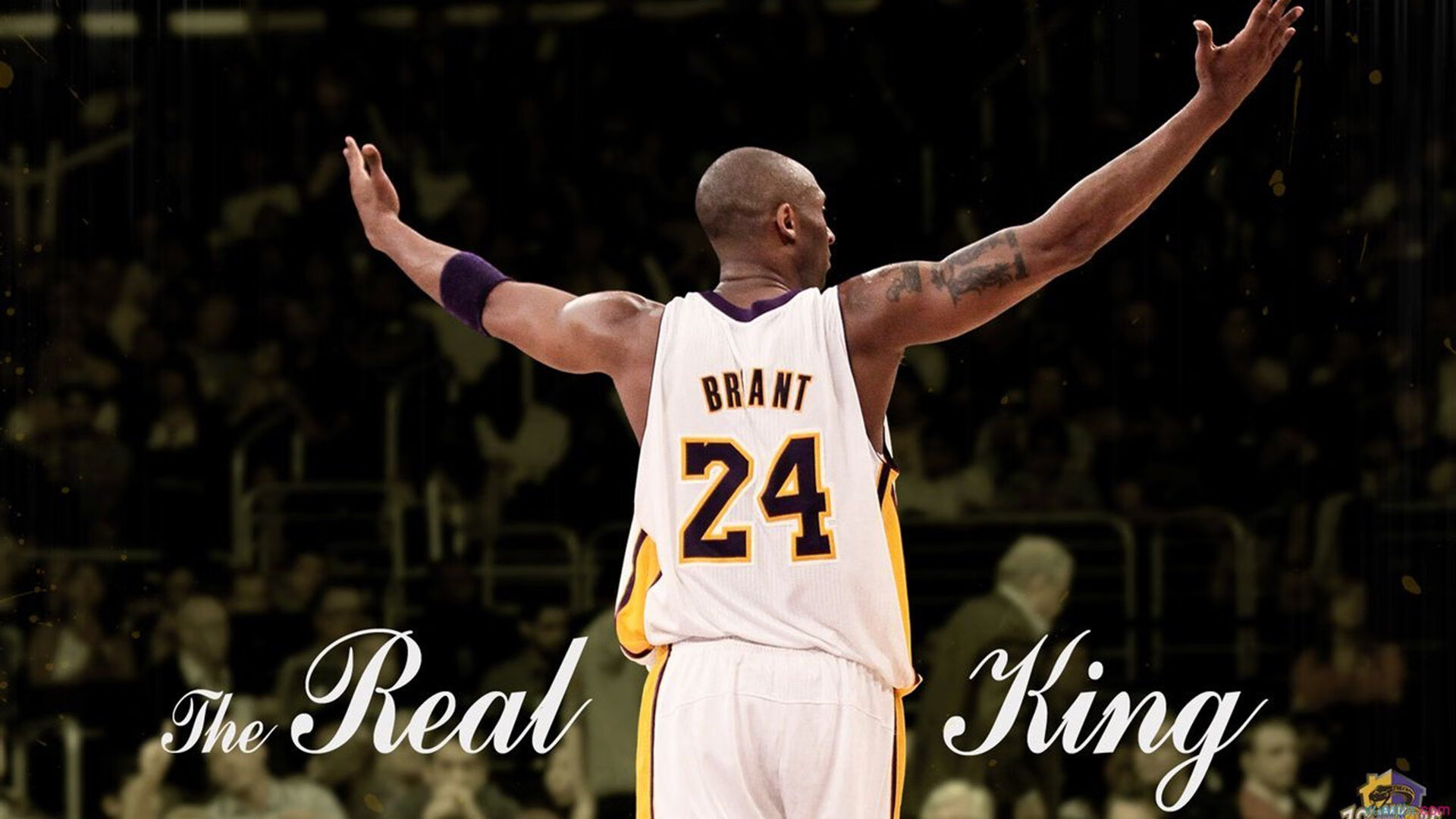 NBA回顾：太阳vs鹈鹕——英格拉姆缺席，锡安成疑，nba太阳对雄鹿视频直播